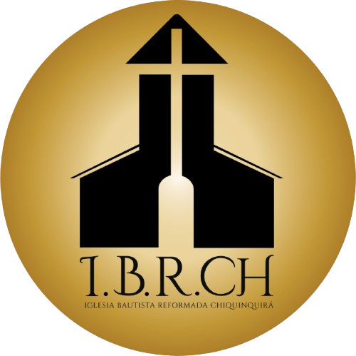 Logo I.B.R.CH